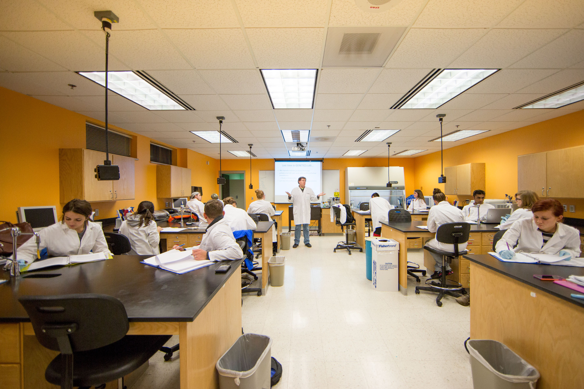 Professor giving a chemistry class